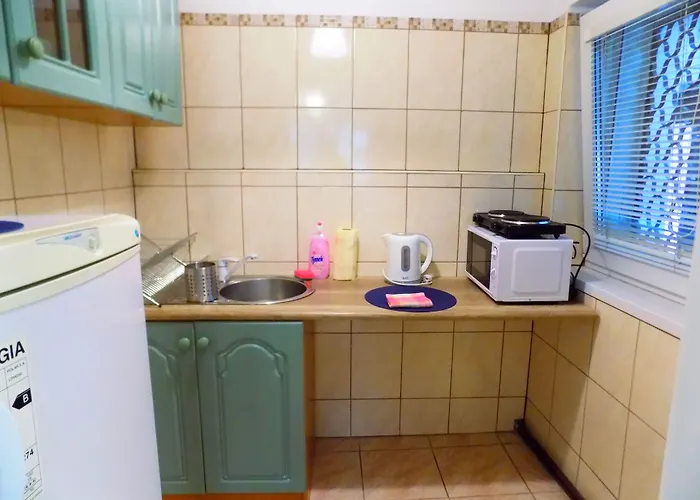 City Central Apartments Wroclaw Daire *